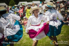 Around The World Cultural Food Festival